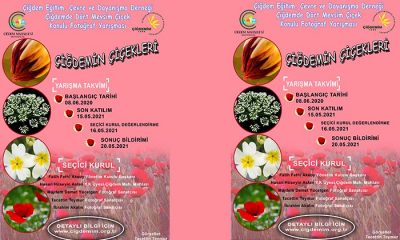 ÇİĞDEMDE 4 MEVSİM ÇİÇEK FOTOĞRAF YARIŞMASI