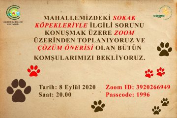 Mahallemizdeki sokak köpekleri sorununu konuşuyoruz