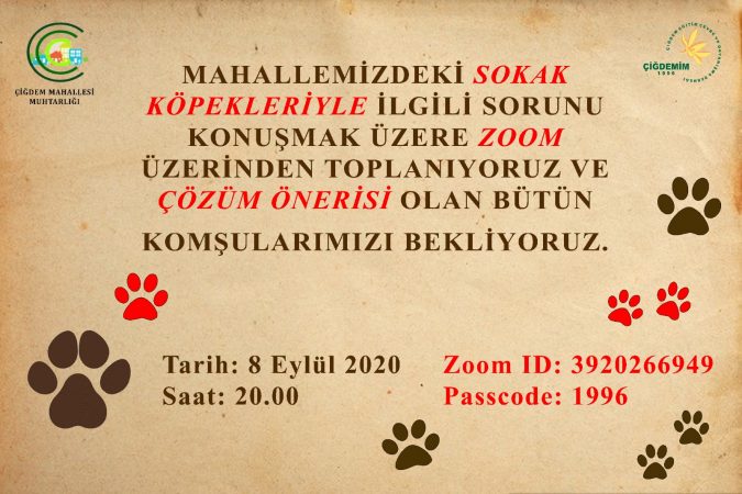 SOKAK HAYVANLARI KONULU TOPLANTI NOTLARI