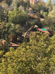 MUHTARIMIZDAN AÇIKLAMA: ŞİRİNDERE’DE SON BİR AYIN GELİŞMELERİ