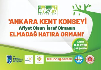 11.11.2020 AĞAÇLANDIRMA