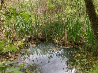 ŞİRİNDERE BİLGİLENDİRME