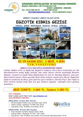 KIBRIS GEZİSİ