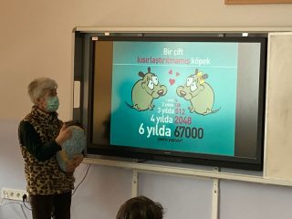 KÖPEKLERE NASIL DAVRANMALIYIZ EĞİTİMİ