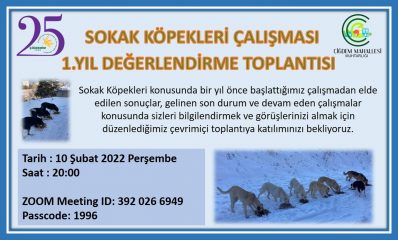 SOKAK KÖPEKLERİ ÇALIŞMASI DEĞERLENDİRME TOPLANTISI