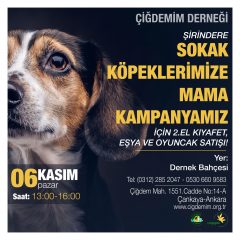 ŞİRİNDERE KÖPEKLERİ MAMA KAMPANYASI İÇİN 2.EL SATIŞ