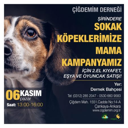 ŞİRİNDERE KÖPEKLERİ MAMA KAMPANYASI İÇİN 2.EL SATIŞ