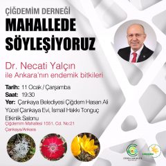 MAHALLEDE SÖYLEŞİYORUZ