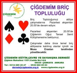 BRİÇ TOPLULUĞU