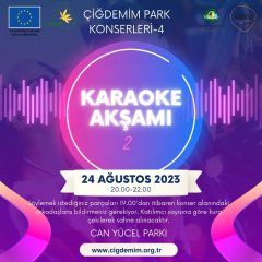 KARAOKE GECESİ
