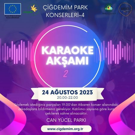 KARAOKE GECESİ