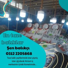 BALIK SEZONU BAŞLADI