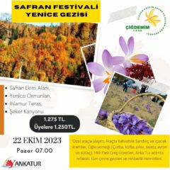 SAFRAN HASADI VE YENİCE ORMANLARI GEZİSİ