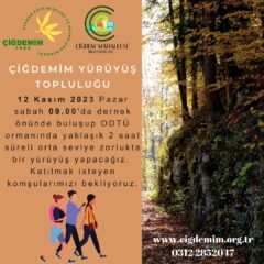 YÜRÜYÜŞ TOPLULUĞU