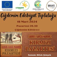 EDEBİYAT TOPLULUĞU