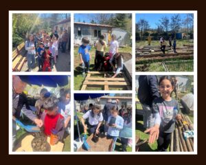 BOSTANIMIZIN ZİYARETÇİLERİ VARDI