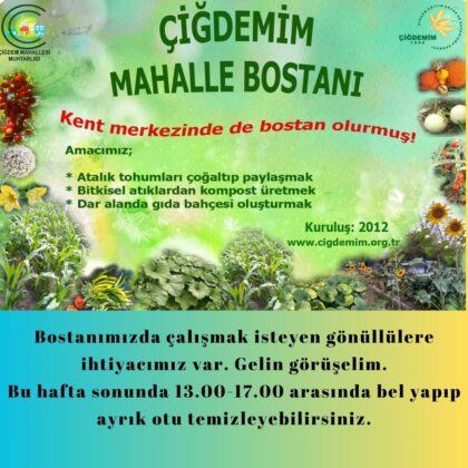 BOSTANDA İMECE