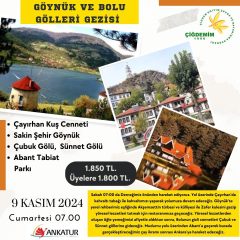 GÖYNÜK VE BOLU GÖLLERİ GEZİSİ