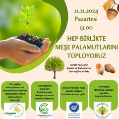 MEŞE PALAMUDU TÜPLÜYORUZ