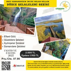 GÜNÜBİRLİK DÜZCE ŞELALERİ GEZİSİ