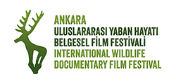 YABAN HAYATI BELGESEL FİLM FESTİVALİ