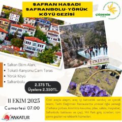 SAFRAN HASADI GEZİSİ