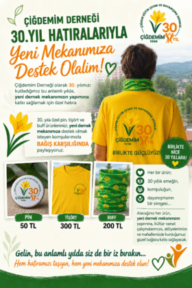DAYANIŞMA