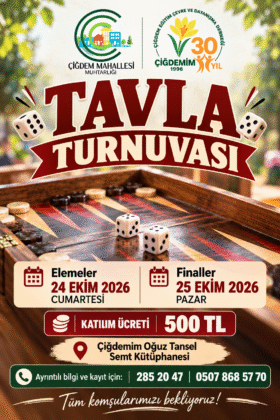 TAVLA TURNUVASI